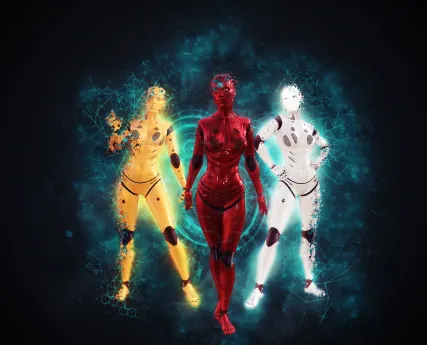 Casino Royal Winner Application mobile